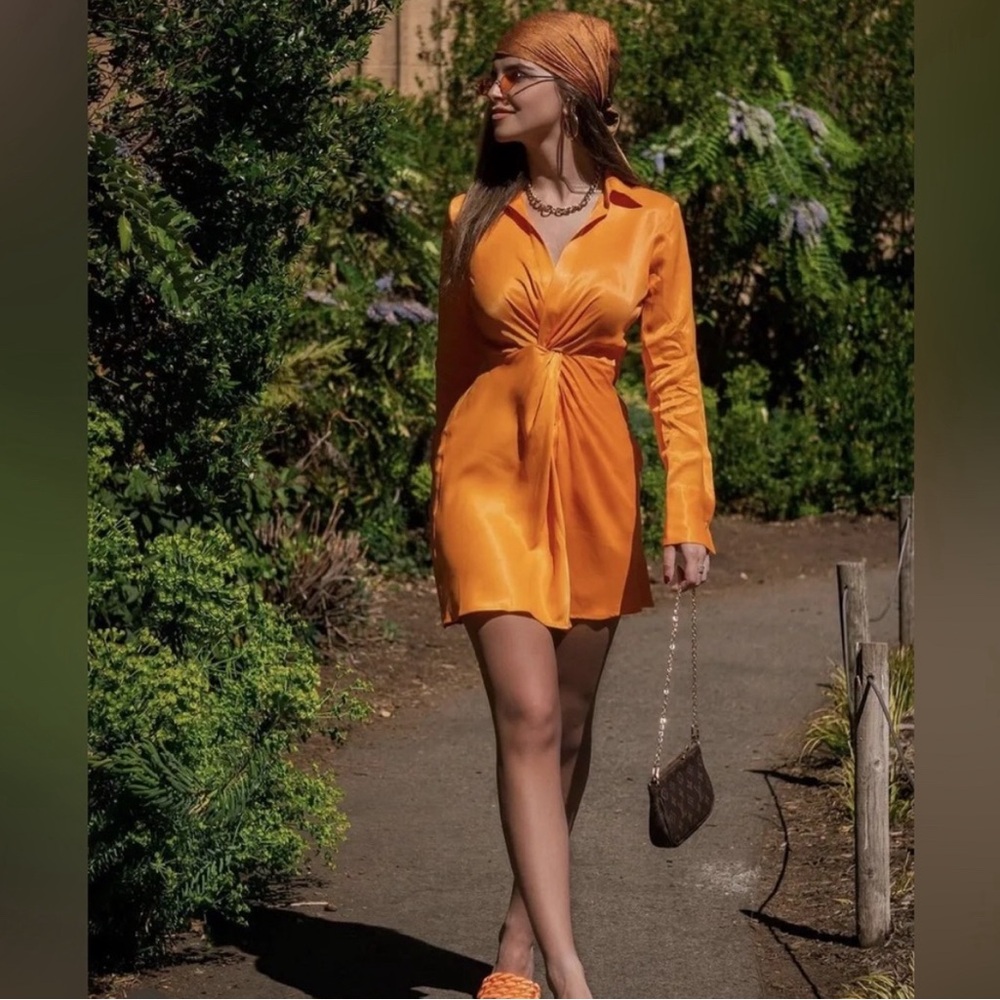 Zara dress